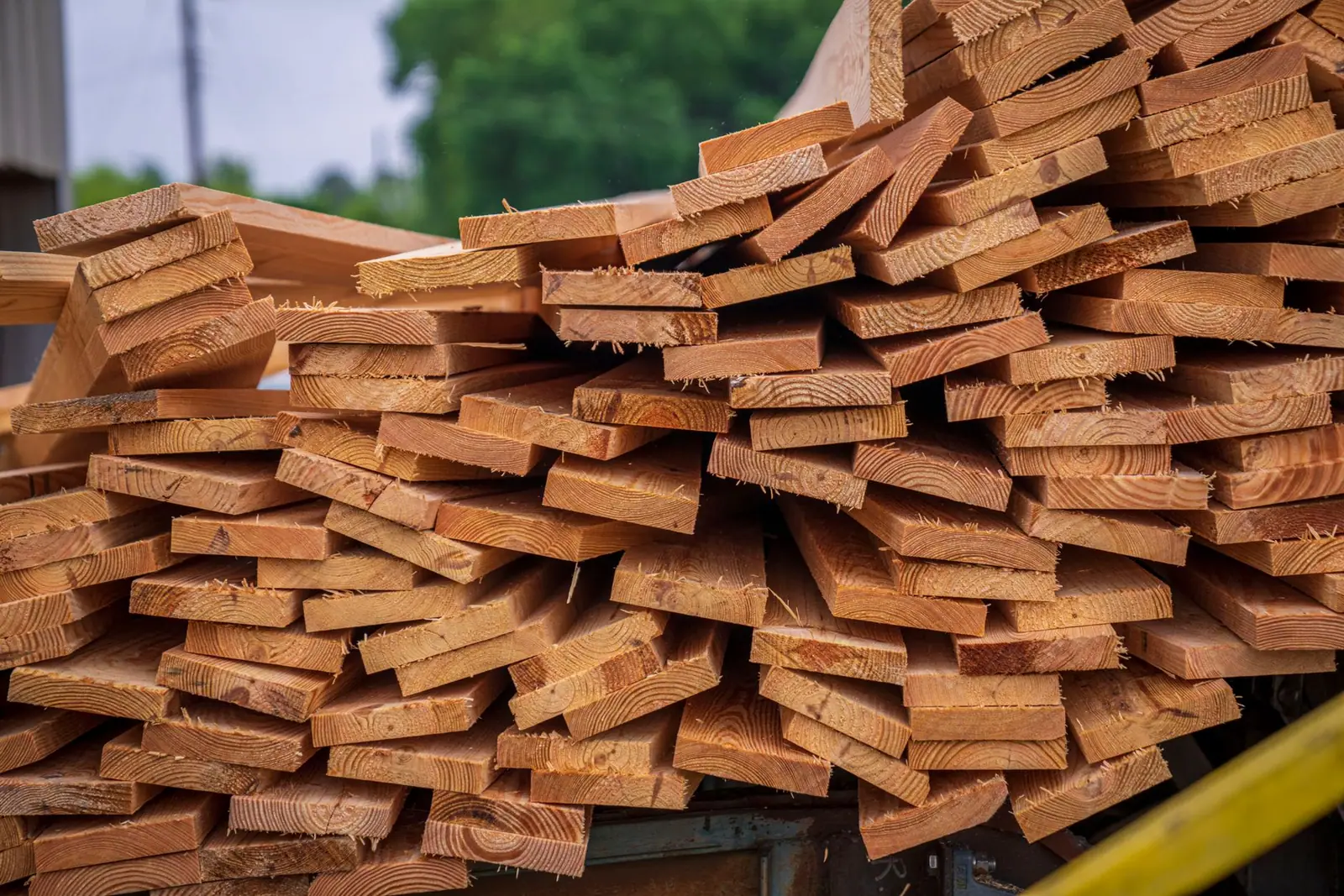 A pile of sawn timber offcuts