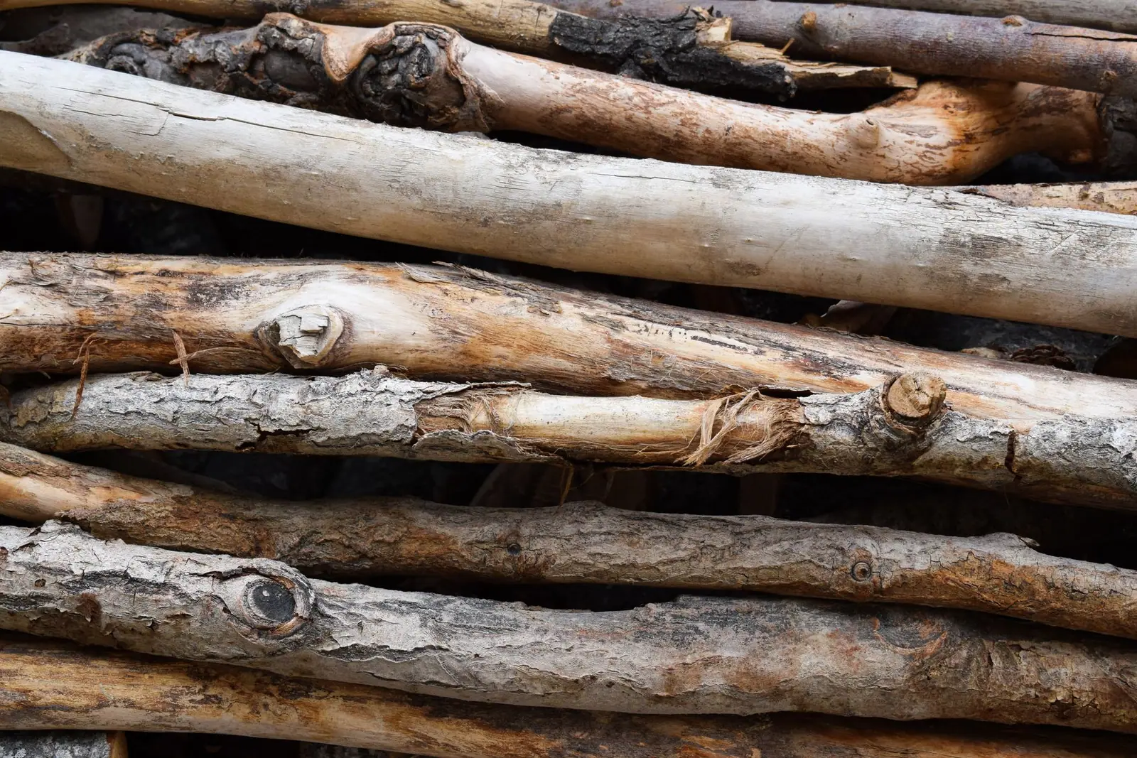 A stack of long cut branches and small logs