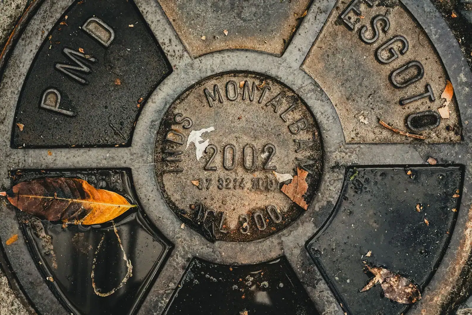 A cast-iron access cover set into the ground, scattered with autumn leaves