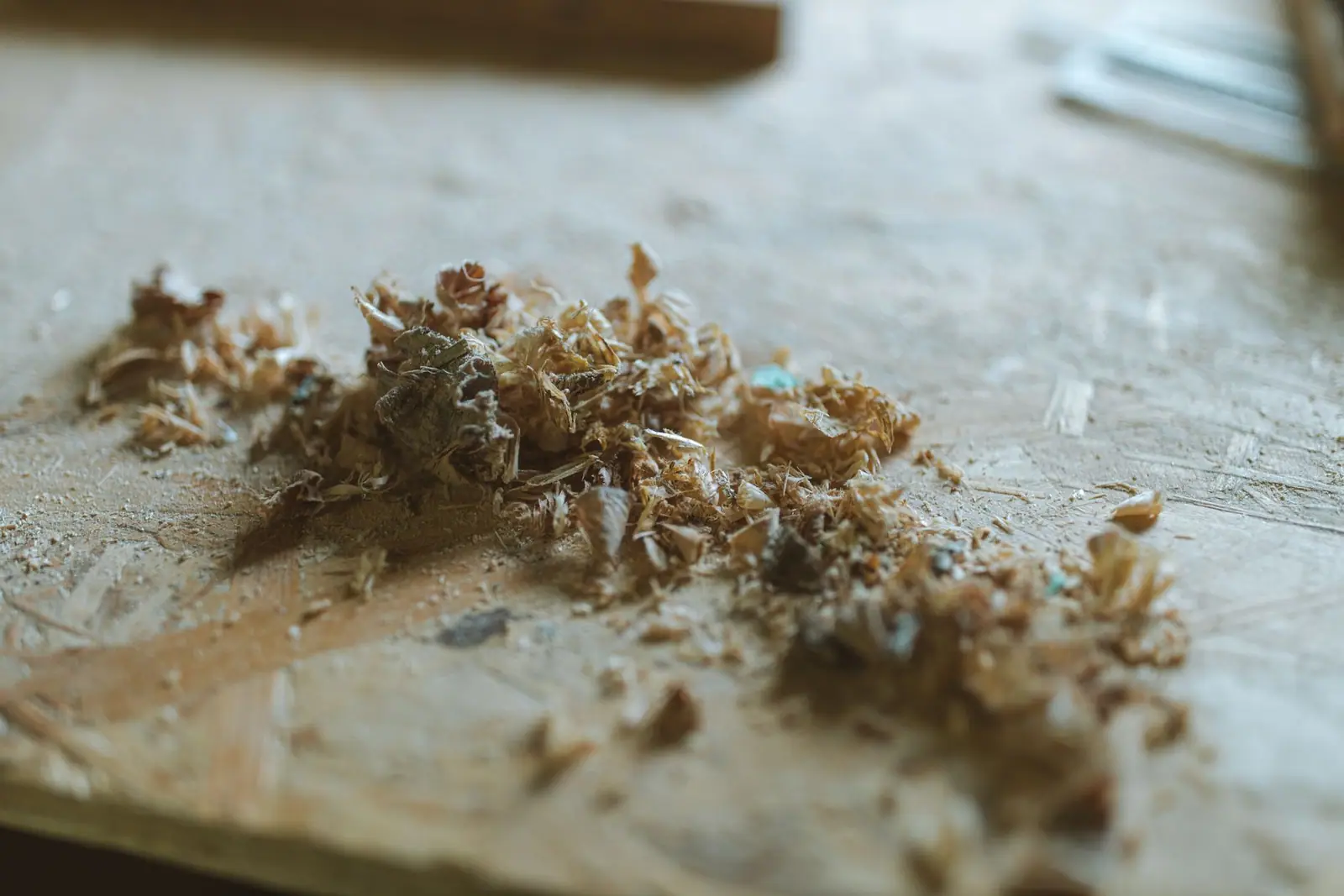 Wood shavings and fine sawdust scattered across a wooden surface